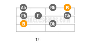 B major online on ukulele